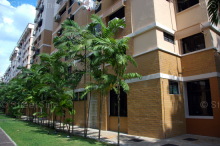 Blk 522 Jelapang Road (Bukit Panjang), HDB 4 Rooms #218212